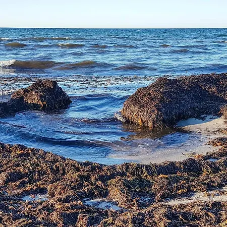 5 Star In Vig-by Traum Tatil Evi Vig