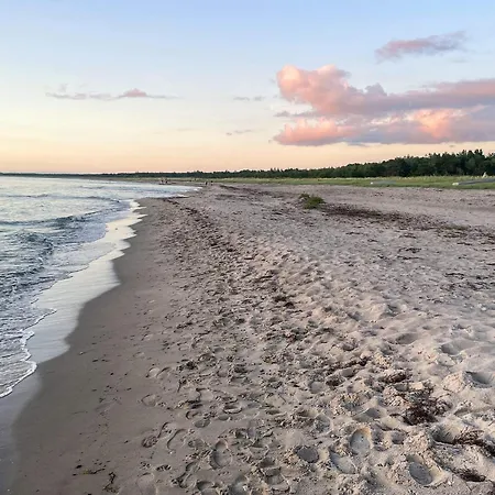 5 Star In Vig-by Traum *