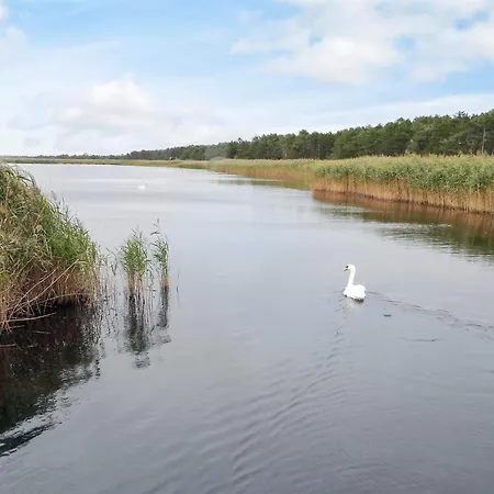 5 Star In Vig-by Traum * Vig