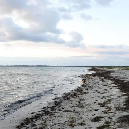 5 Star In Vig-by Traum Tatil Evi *