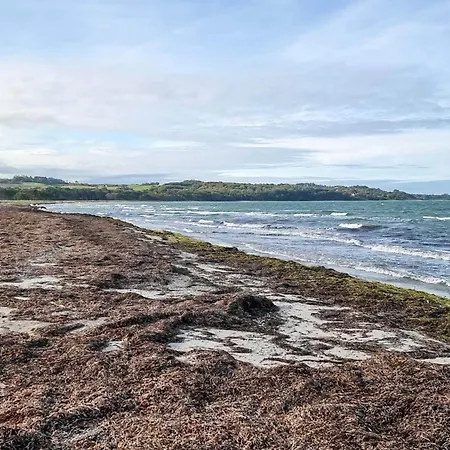 5 Star In Vig-by Traum Tatil Evi Vig