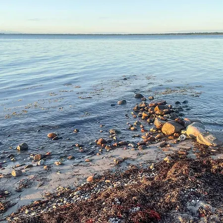 5 Star In Vig-by Traum *