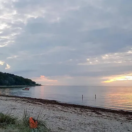 5 Star In Vig-by Traum Vig